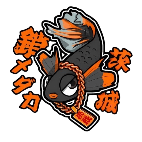 鎖メダカ